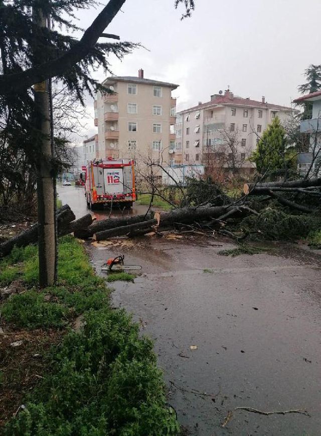 kocaeli de siddetli ruzgar agaci devirdi 3 14012628 o