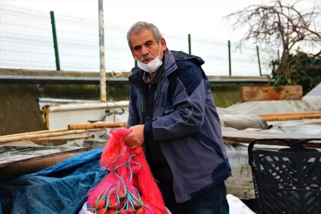 Limanların büyümesi ile av alanları azalan balıkçıklar dertli