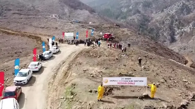 Pozantı'da yanan ormanlık alana kızılçam tohumu ekildi Pozantı'da yanan ormanlık alana kızılçam tohumu ekildi