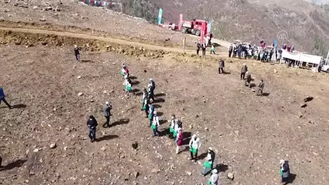 Pozantı'da yanan ormanlık alana kızılçam tohumu ekildi Pozantı'da yanan ormanlık alana kızılçam tohumu ekildi