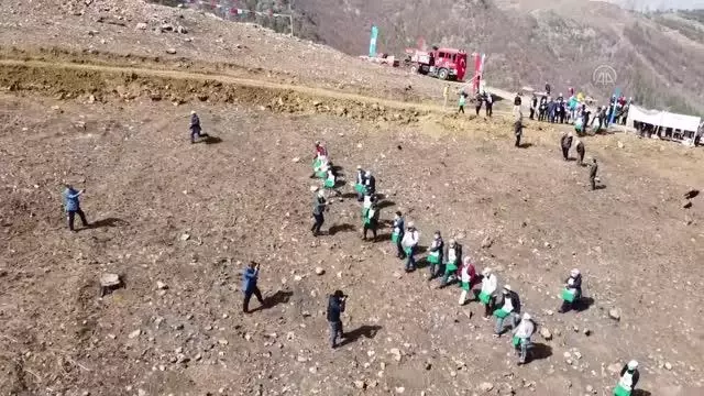 Pozantı'da yanan ormanlık alana kızılçam tohumu ekildi Pozantı'da yanan ormanlık alana kızılçam tohumu ekildi