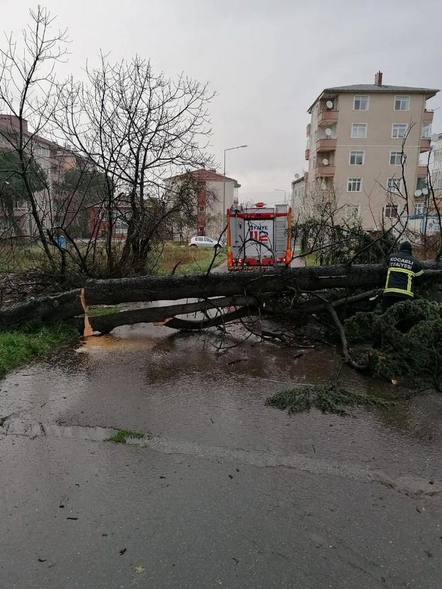 siddetli ruzgar agaci devirdi 2 14012570 o