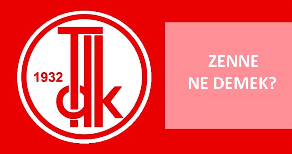 Zenne ne demek? TDK'ya göre zenne kelimesi ne anlama geliyor? Zenne nedir, kime zenne denir?