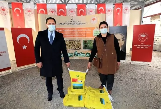 Amasya'da çiftçilere 20 ton yonca tohumu dağıtıldı Amasya'da çiftçilere 20 ton yonca tohumu dağıtıldı