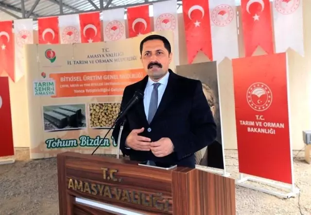 Amasya'da çiftçilere 20 ton yonca tohumu dağıtıldı Amasya'da çiftçilere 20 ton yonca tohumu dağıtıldı