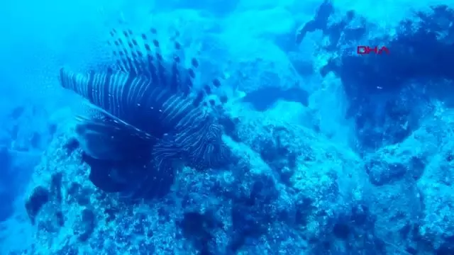 Kekova'da Rus turist hareketliliği