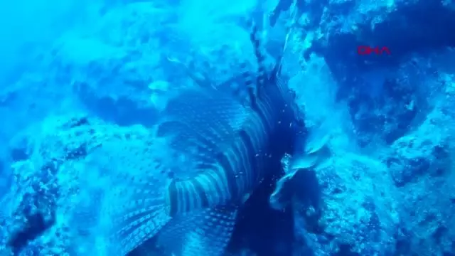 Kekova'da Rus turist hareketliliği