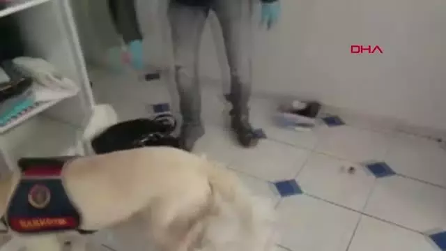 Son dakika gündem: ANTALYA Makyaj çantasına gizlenen uyuşturucuyu narkotik köpeği buldu 4 gözaltı Son dakika gündem: ANTALYA Makyaj çantasına gizlenen uyuşturucuyu narkotik köpeği buldu 4 gözaltı