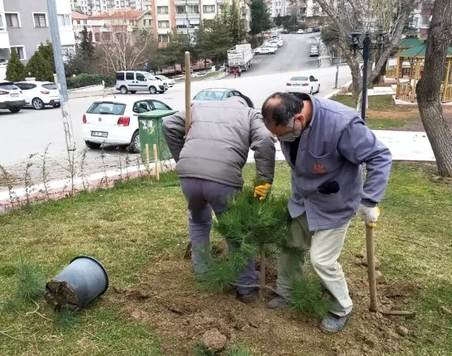 Başkent'te yaza yemyeşil hazırlık Başkent'te yaza yemyeşil hazırlık
