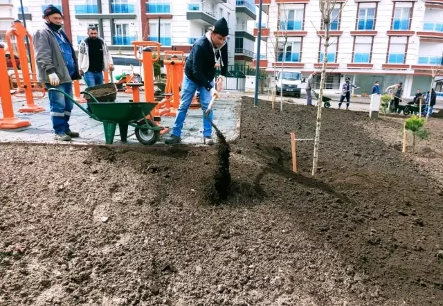 Başkent'te yaza yemyeşil hazırlık Başkent'te yaza yemyeşil hazırlık