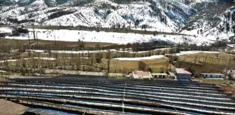 Doğu Karadeniz: Doğu Karadeniz'in en büyük güneş enerji santrali Giresun'da hizmete girdi Doğu Karadeniz: Doğu Karadeniz'in en büyük güneş enerji santrali Giresun'da hizmete girdi