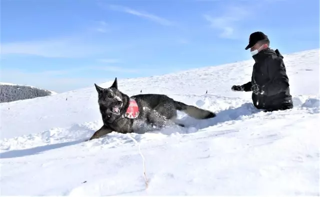 KASTAMONU - Ilgaz Dağı'nda çığ ve kurtarma tatbikatı yapıldı