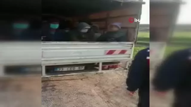 Son dakika haber! Kamyonetle balık istifi yolculuk kamerada Son dakika haber! Kamyonetle balık istifi yolculuk kamerada