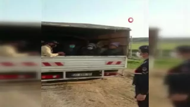 Son dakika haber! Kamyonetle balık istifi yolculuk kamerada Son dakika haber! Kamyonetle balık istifi yolculuk kamerada