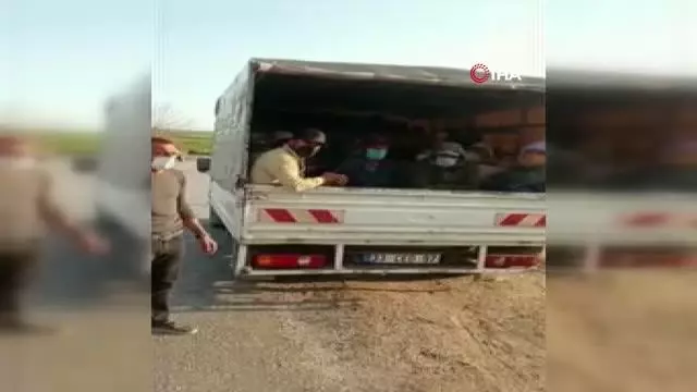 Son dakika haber! Kamyonetle balık istifi yolculuk kamerada Son dakika haber! Kamyonetle balık istifi yolculuk kamerada