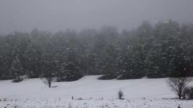 KASTAMONU - Kar yağışı etkili oldu