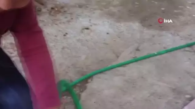 Köpeği ısıran küçük çocuk görenleri gülme krizine soktu Köpeği ısıran küçük çocuk görenleri gülme krizine soktu