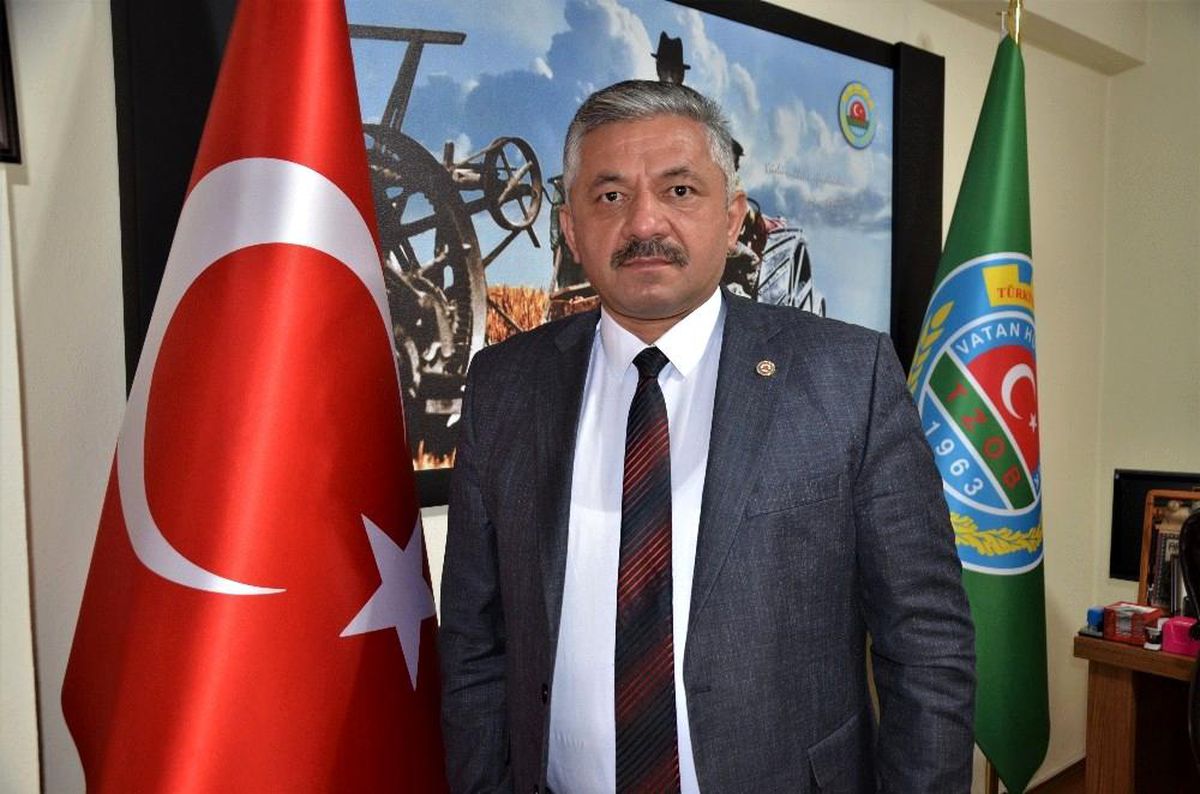 Ordu'da serbest piyasada fındık 23 lira