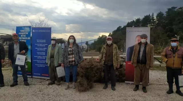 Serik'te 'Arı Otu' tohumu desteği yapıldı Serik'te 'Arı Otu' tohumu desteği yapıldı