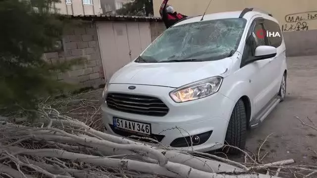 Şiddetli fırtınada ağaç otomobilin üzerine devrildi Şiddetli fırtınada ağaç otomobilin üzerine devrildi