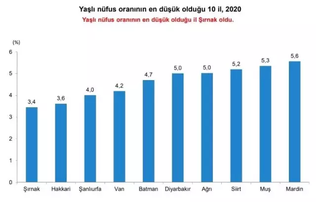 Türkiye'de yaşlı nüfus 10 yılda yüzde 49,3 arttı Türkiye'de yaşlı nüfus 10 yılda yüzde 49,3 arttı