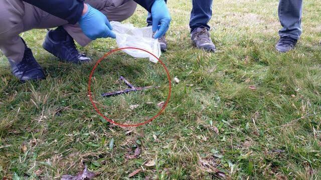 Yarım saatte 3 kişiyi bıçaklayan şüphelinin, olaydan önce pakta gençlere saldırdığı anlar kamerada