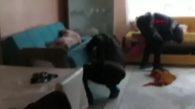 Son dakika... 25 tüfek ve tabanca ile yakalanan 3 kişi tutuklandı Son dakika... 25 tüfek ve tabanca ile yakalanan 3 kişi tutuklandı