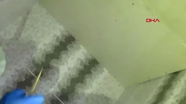 Son dakika... 25 tüfek ve tabanca ile yakalanan 3 kişi tutuklandı Son dakika... 25 tüfek ve tabanca ile yakalanan 3 kişi tutuklandı