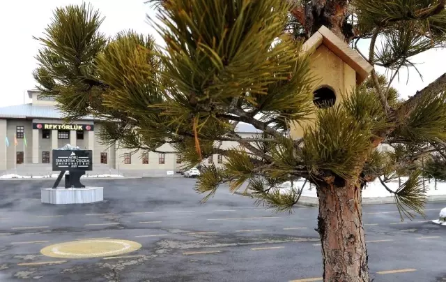 AİÇÜ'de Minik Dostlar Unutulmadı AİÇÜ'de Minik Dostlar Unutulmadı