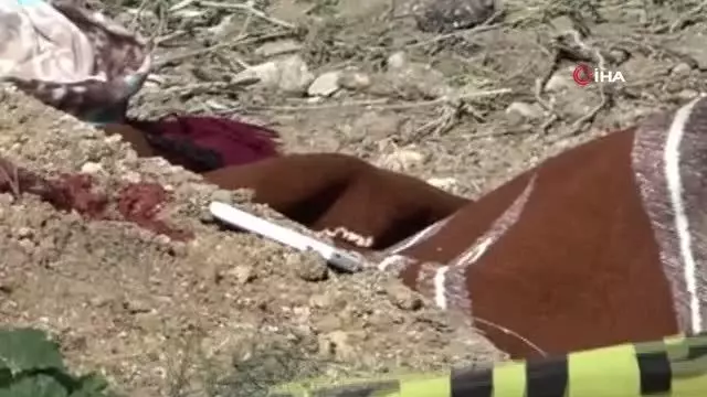 Annesinin acısına dayanamayıp mezarı başında intihar etti Annesinin acısına dayanamayıp mezarı başında intihar etti