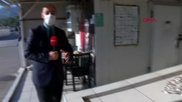 ANTALYA Balon balığı kuyrukları, 2021'de de alınacak