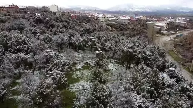 Beyşehir'de leyleklerin yuvaları kar örtüsü altında kaldı Beyşehir'de leyleklerin yuvaları kar örtüsü altında kaldı