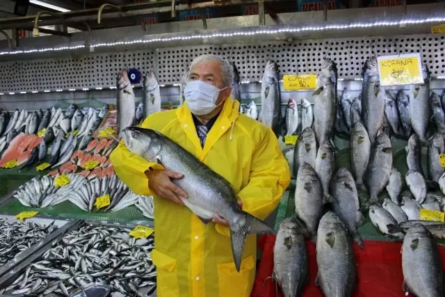 Denizlerde kofana bolluğu...Ağırlığı 12 kiloya kadar çıktı