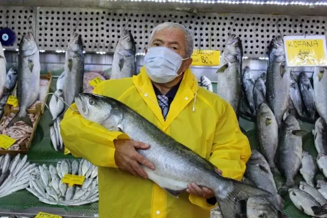 Denizlerde kofana bolluğu...Ağırlığı 12 kiloya kadar çıktı