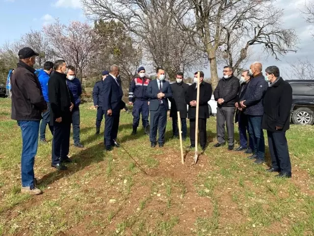 Dinar'da deneme amaçlı kestane fidanı dikildi Dinar'da deneme amaçlı kestane fidanı dikildi