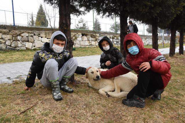 Hemşire, köpeklerle oynayan 3 çocuğu tırmıkla darbetti