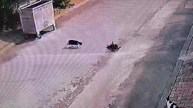 Kediyi ezdi, hiçbir şey olmamış gibi yoluna devam etti