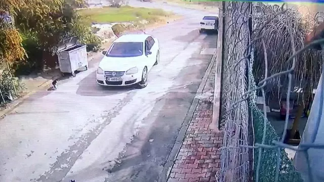 Kediyi ezdi, hiçbir şey olmamış gibi yoluna devam etti