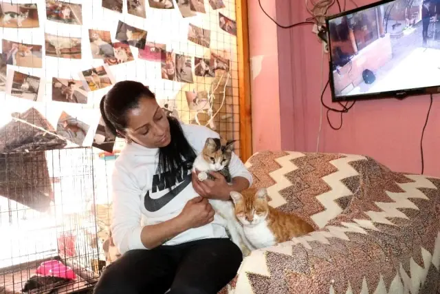Kediyi ezdi, hiçbir şey olmamış gibi yoluna devam etti