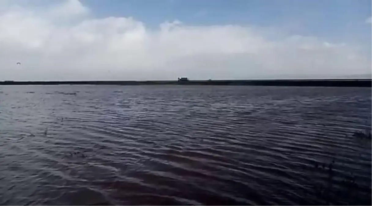 Muş'ta sağanak; kaz çiftliği su altında kaldı