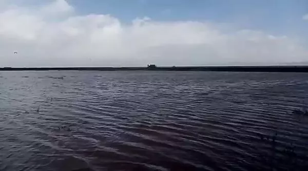 Muş'ta sağanak; kaz çiftliği su altında kaldı Muş'ta sağanak; kaz çiftliği su altında kaldı