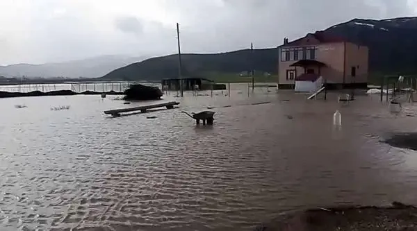 Muş'ta sağanak; kaz çiftliği su altında kaldı Muş'ta sağanak; kaz çiftliği su altında kaldı