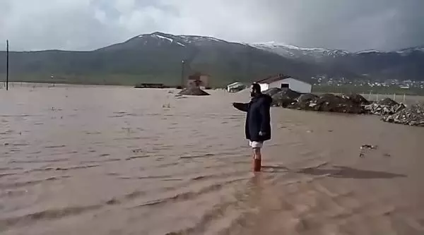 Muş'ta sağanak; kaz çiftliği su altında kaldı Muş'ta sağanak; kaz çiftliği su altında kaldı