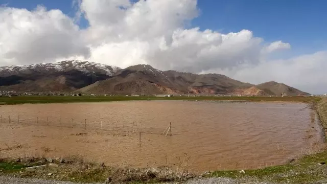 Muş'ta sağanak nedeniyle bazı tarım arazileri ve bir kaz çiftliği su altında kaldı Muş'ta sağanak nedeniyle bazı tarım arazileri ve bir kaz çiftliği su altında kaldı