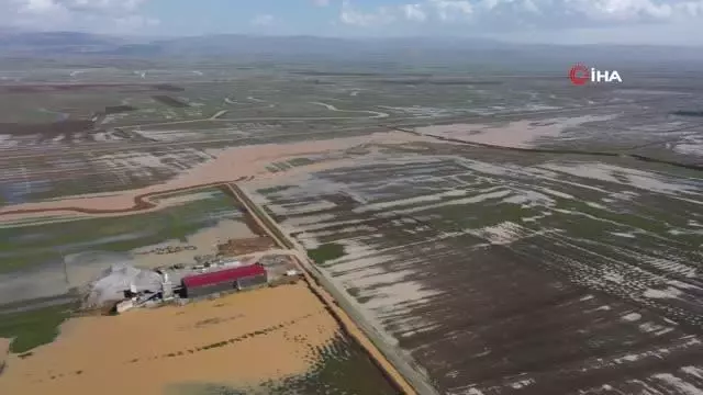 Tarım arazileri ve hayvan çiftlikleri su altında kaldı Tarım arazileri ve hayvan çiftlikleri su altında kaldı