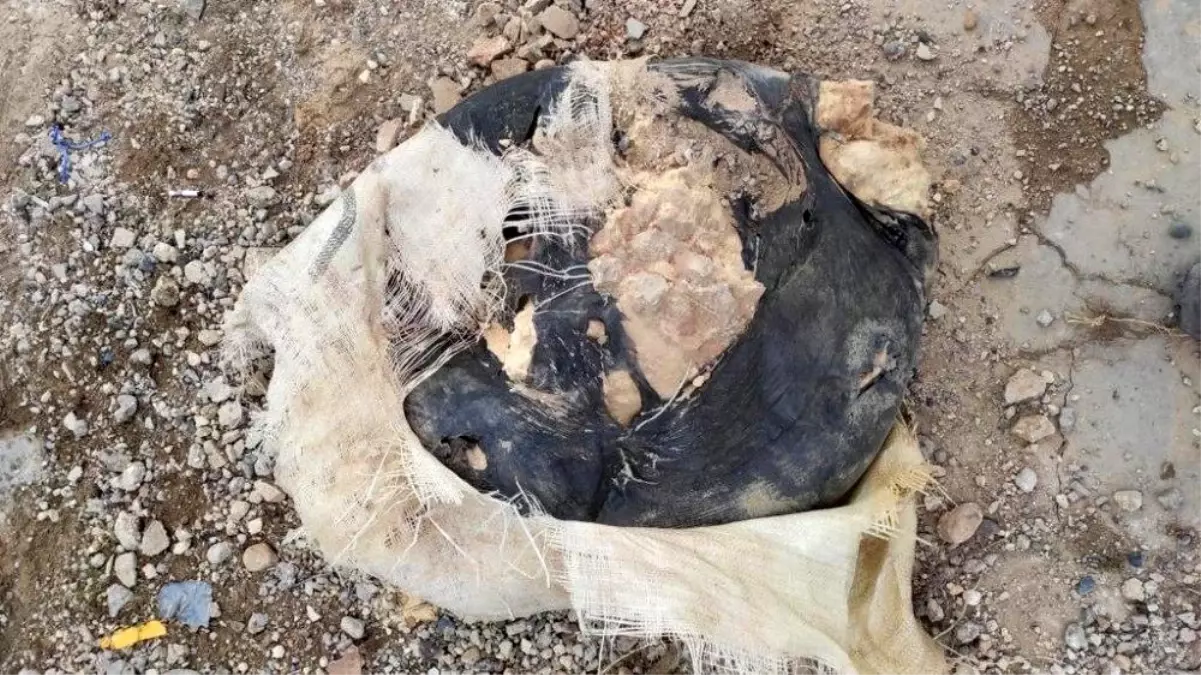 Telabyad'da 60 kilogram patlayıcı ele geçirildi