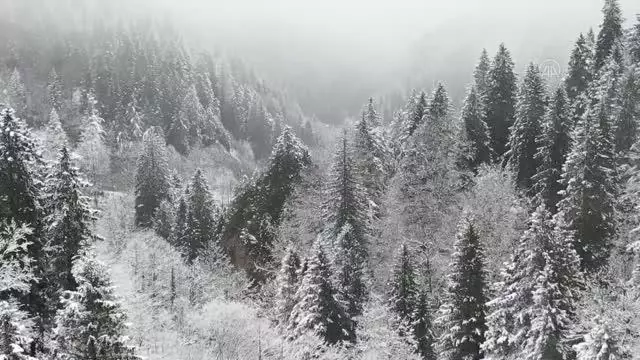 Trabzon'un yüksek kesimleri beyaza büründü