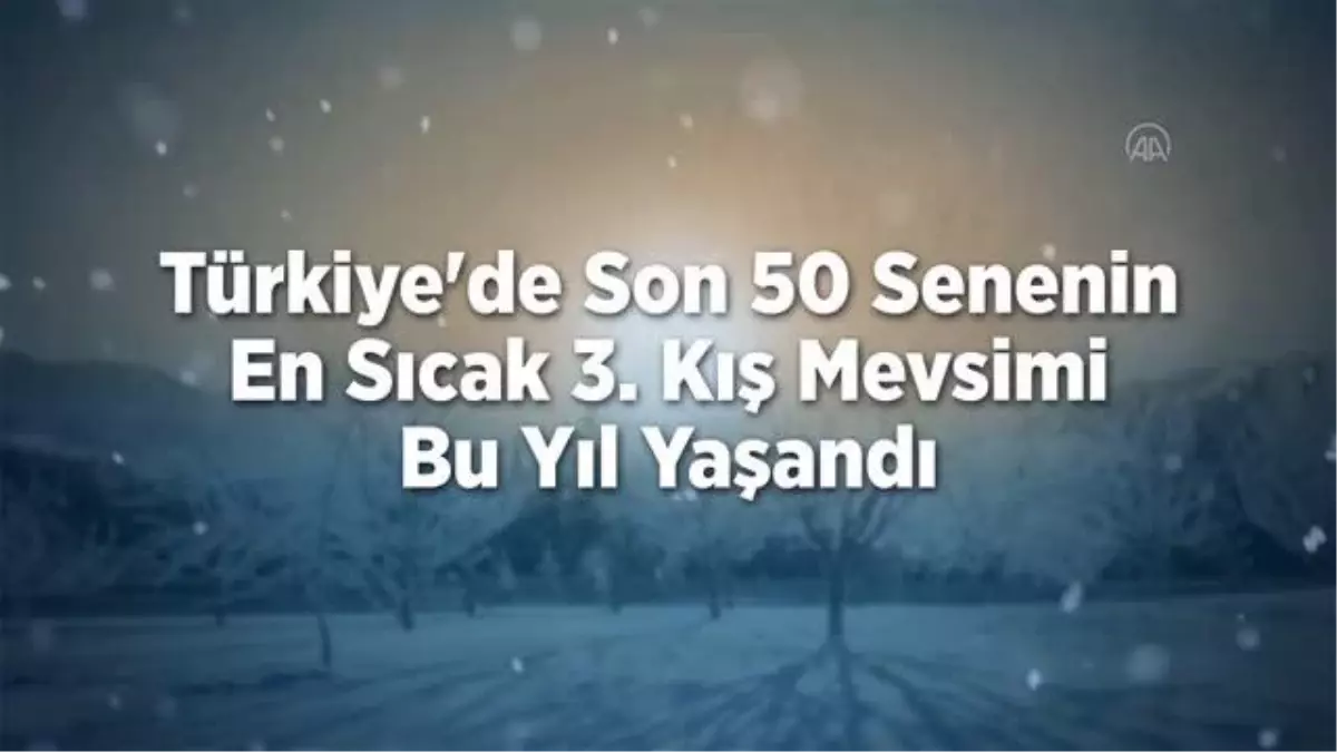 (VİDEO-GRAFİK) - Türkiye'de son 50 senenin en sıcak 3. kış mevsimi bu yıl yaşandı