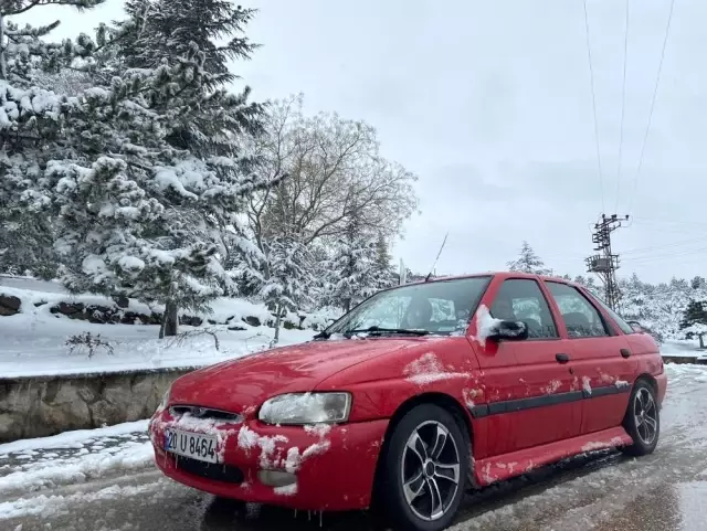 Yalancı bahara aldanıp çiçek açan ağaçlar kar altında kaldı Yalancı bahara aldanıp çiçek açan ağaçlar kar altında kaldı