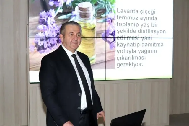 Amasya Üniversitesi Yedikır mevkiinde lavanta yetiştirecek Amasya Üniversitesi Yedikır mevkiinde lavanta yetiştirecek